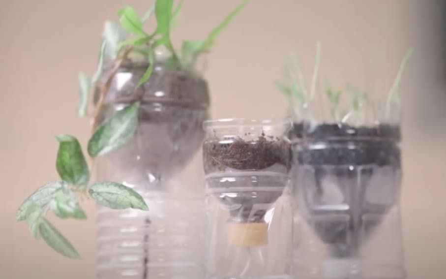 self-watering-planters