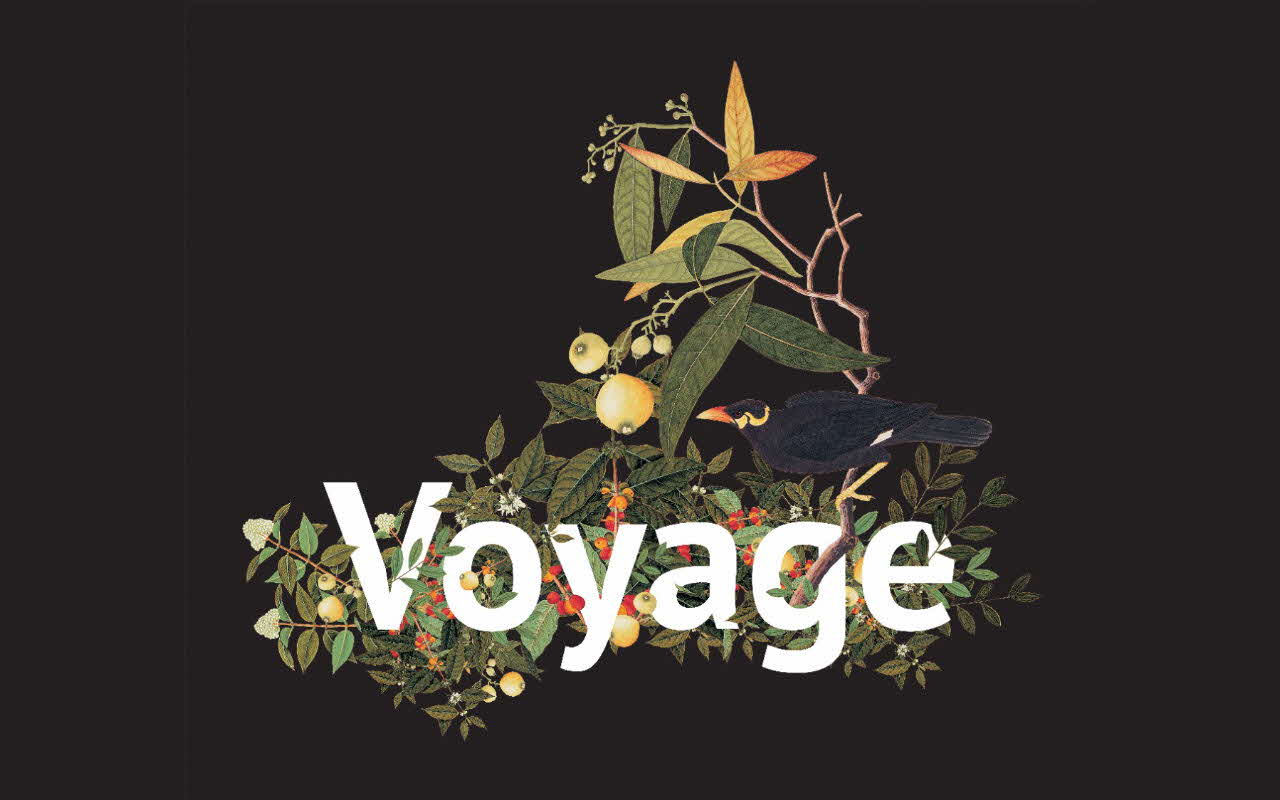 Voyage Kv